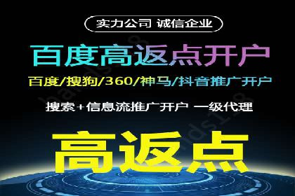 百度SEO推广策略全解析：某企业从零到一的成长历程